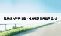 姐弟爆笑聊天记录(姐弟爆笑聊天记录图片)