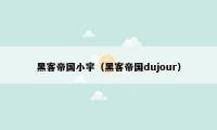 黑客帝国小宇(黑客帝国dujour)
