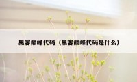 黑客巅峰代码(黑客巅峰代码是什么)