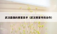 武汉最强的黑客高手(武汉黑客寻找合作)