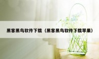 黑客黑鸟软件下载（黑客黑鸟软件下载苹果）