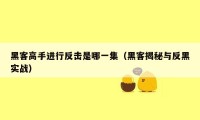 黑客高手进行反击是哪一集（黑客揭秘与反黑实战）