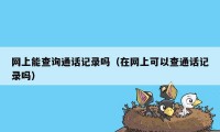 网上能查询通话记录吗（在网上可以查通话记录吗）