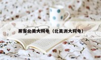 黑客北美大鳄龟(北美洲大鳄龟)