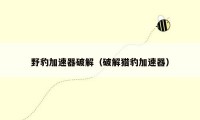 野豹加速器破解(破解猎豹加速器)
