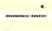 黑客加密骗局揭秘大全(黑客加密文件)