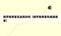 俄罗斯黑客宣战真的吗(俄罗斯黑客和美国黑客)