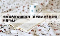 世界最大黑客组织爆料（世界最大黑客组织爆料是什么）