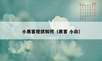 小黑客现状如何(黑客 小白)