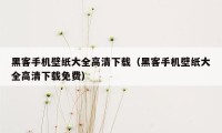 黑客手机壁纸大全高清下载(黑客手机壁纸大全高清下载免费)