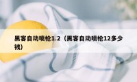 黑客自动喷枪1.2（黑客自动喷枪12多少钱）