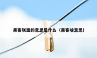 黑客联盟的意思是什么(黑客啥意思)