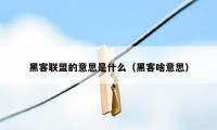 黑客联盟的意思是什么（黑客啥意思）