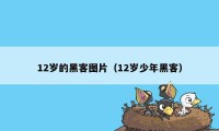 12岁的黑客图片（12岁少年黑客）