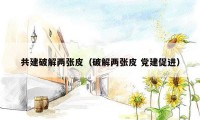 共建破解两张皮(破解两张皮 党建促进)