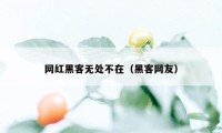 网红黑客无处不在（黑客网友）