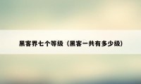 黑客界七个等级(黑客一共有多少级)