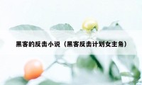 黑客的反击小说（黑客反击计划女主角）