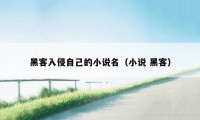 黑客入侵自己的小说名(小说 黑客)