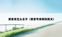 黑客用怎么名字(黑客专用昵称英文)