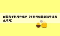 邮箱和手机号咋填啊(手机号就是邮箱号该怎么填写)