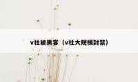 v社被黑客（v社大规模封禁）