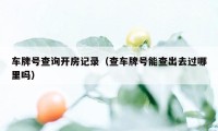 车牌号查询开房记录（查车牌号能查出去过哪里吗）