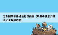 怎么回放苹果通话记录截图（苹果手机怎么聊天记录视频截图）