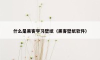 什么是黑客学习壁纸（黑客壁纸软件）