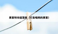 黑客特攻组落网（打击暗网的黑客）