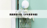 我国黑客少年(少年黑客帝国)