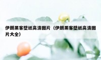 伊朗黑客壁纸高清图片（伊朗黑客壁纸高清图片大全）