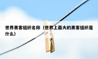 世界黑客组织名称（世界上最大的黑客组织是什么）