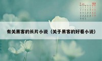 有关黑客的长片小说（关于黑客的好看小说）