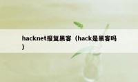 hacknet报复黑客（hack是黑客吗）