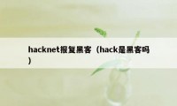 hacknet报复黑客(hack是黑客吗)
