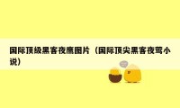 国际顶级黑客夜鹰图片(国际顶尖黑客夜莺小说)