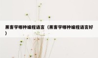 黑客学哪种编程语言（黑客学哪种编程语言好）