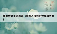 我的世界手游黑客(黑客入侵我的世界服务器)