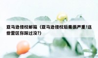 亚马逊侵权邮箱（亚马逊侵权后果很严重!这些雷区你踩过没?）