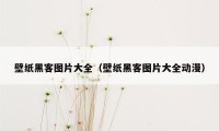 壁纸黑客图片大全（壁纸黑客图片大全动漫）