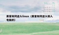 黑客如何进入linux（黑客如何进入别人电脑的）