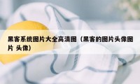 黑客系统图片大全高清图（黑客的图片头像图片 头像）