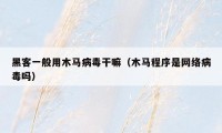 黑客一般用木马病毒干嘛(木马程序是网络病毒吗)