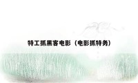 特工抓黑客电影(电影抓特务)