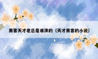 黑客天才老总是谁演的(天才黑客的小说)
