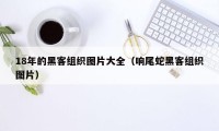 18年的黑客组织图片大全（响尾蛇黑客组织图片）