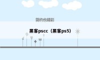 黑客pscc（黑客ps5）