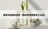 黑客对战我的世界(我的世界黑客长什么样)
