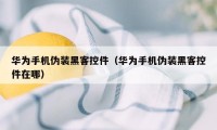 华为手机伪装黑客控件（华为手机伪装黑客控件在哪）